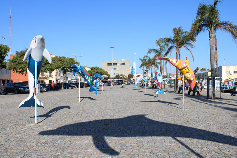 Notícias Setúbal Bay