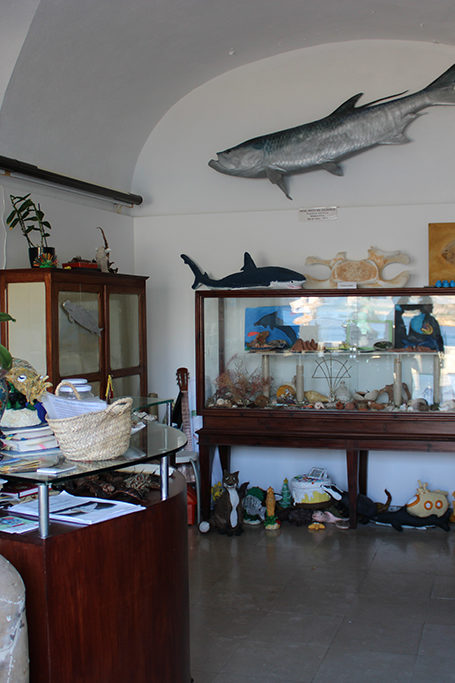 Museo Oceanográfico
