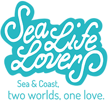 Sea Life Lovers