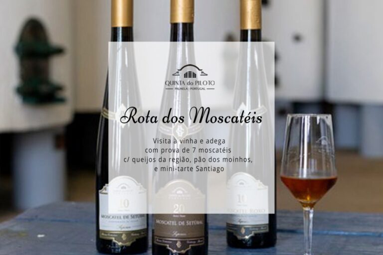 Rota-moscateis_QP-1024x1024 - ROTA DE VINHOS PENÍNSULA DE SETÚBAL