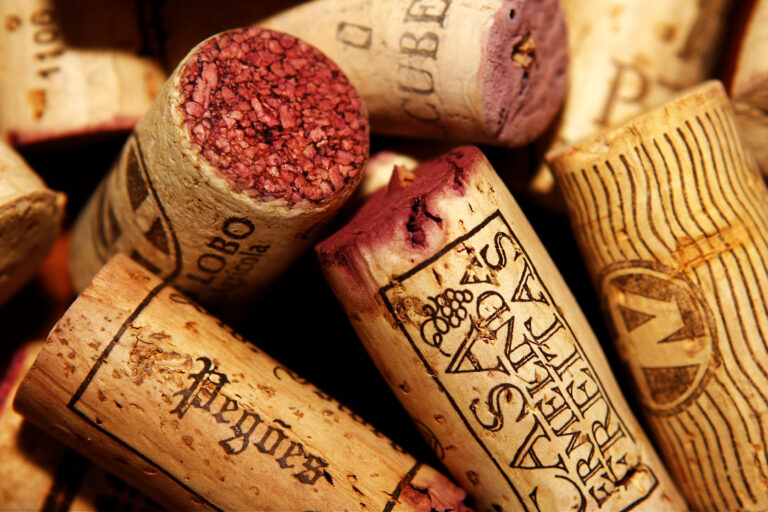 cruzeiros enotursiticos - ROTA DE VINHOS PENÍNSULA DE SETÚBAL