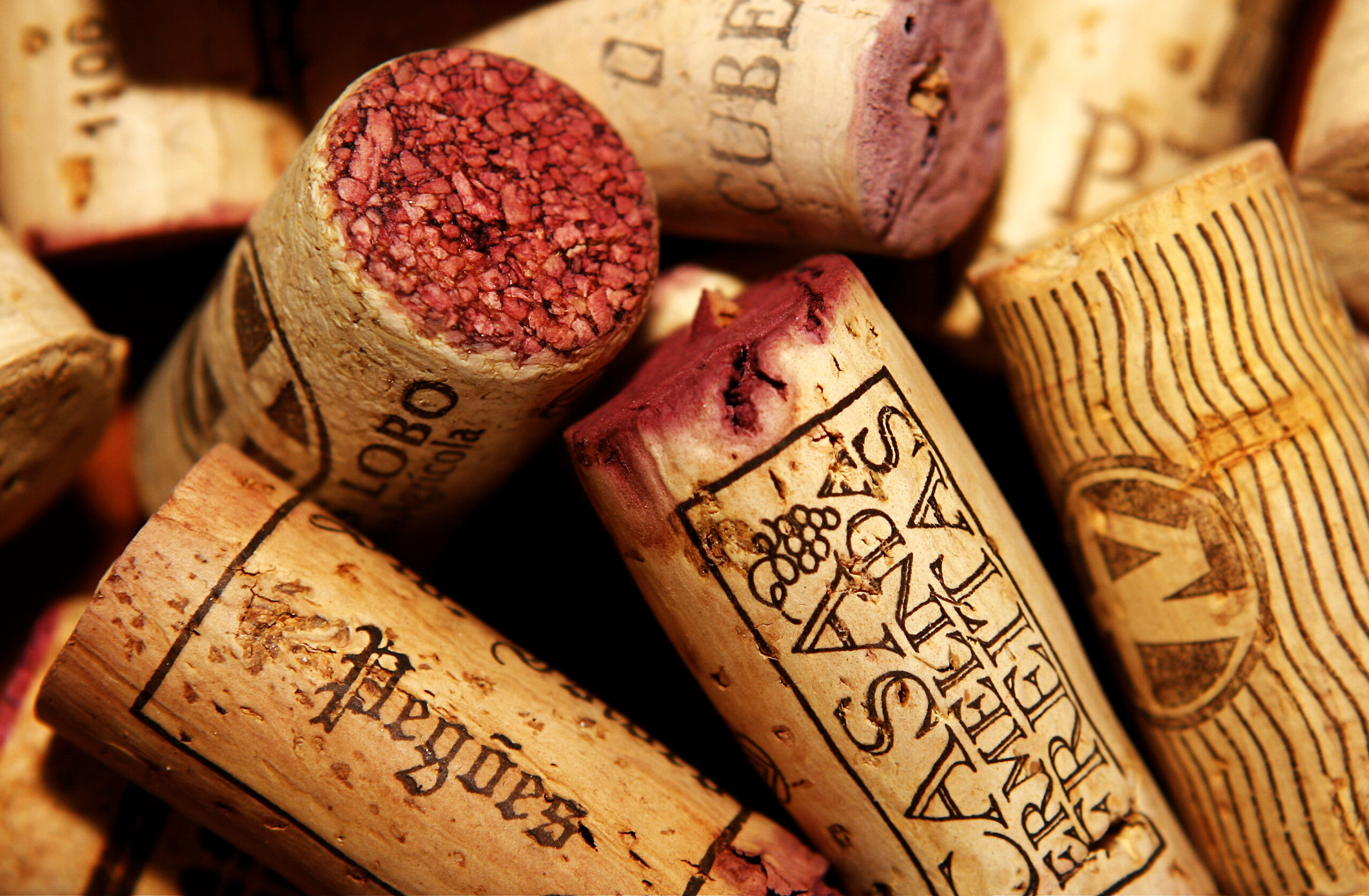 cruzeiros enotursiticos - ROTA DE VINHOS PENÍNSULA DE SETÚBAL cruzeiros enotursiticos - ROTA DE VINHOS PENÍNSULA DE SETÚBAL