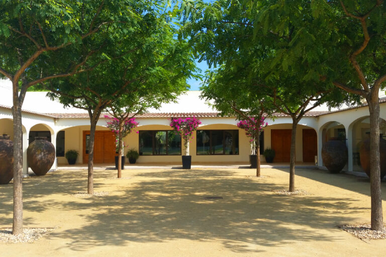 de visita a quinta - ROTA DE VINHOS PENÍNSULA DE SETÚBAL