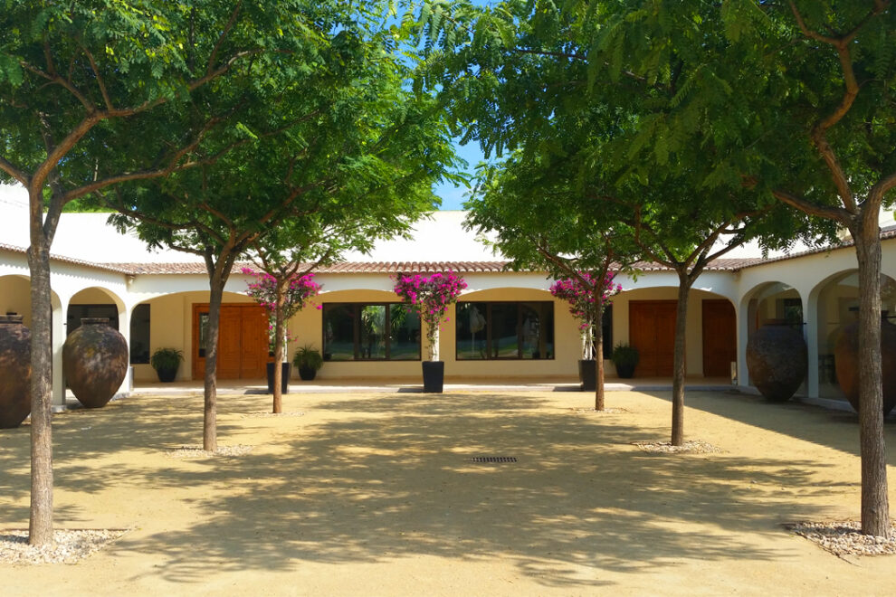 de visita a quinta - ROTA DE VINHOS PENÍNSULA DE SETÚBAL