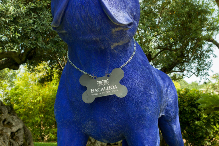 jogo do vinho - ROTA DE VINHOS PENÍNSULA DE SETÚBAL