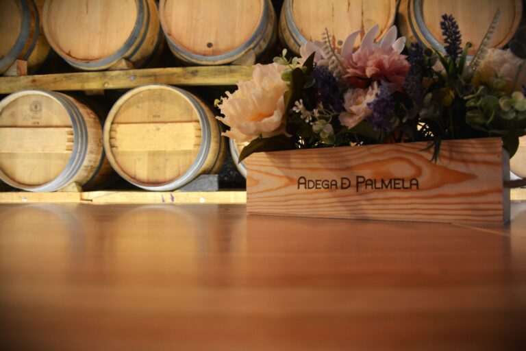 merendar na adega - ROTA DE VINHOS PENÍNSULA DE SETÚBAL