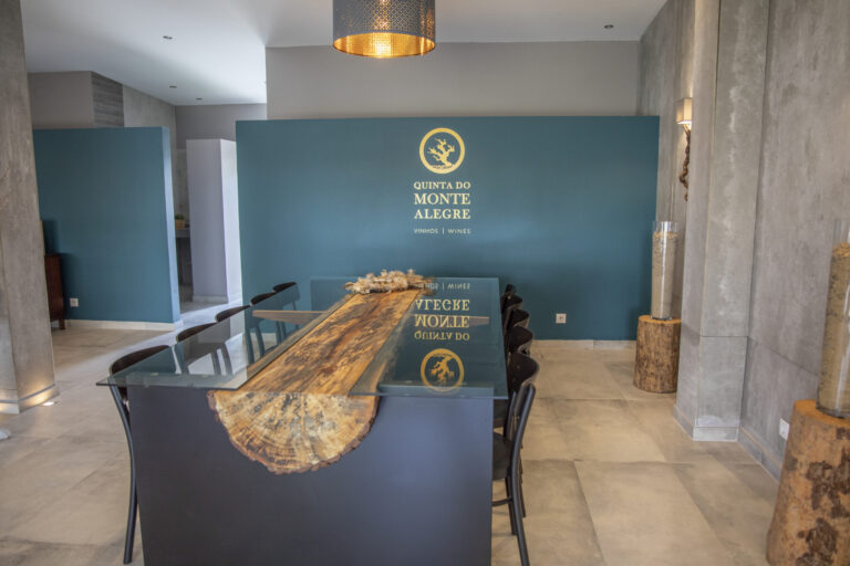 merendar nos vinhedos - ROTA DE VINHOS PENÍNSULA DE SETÚBAL