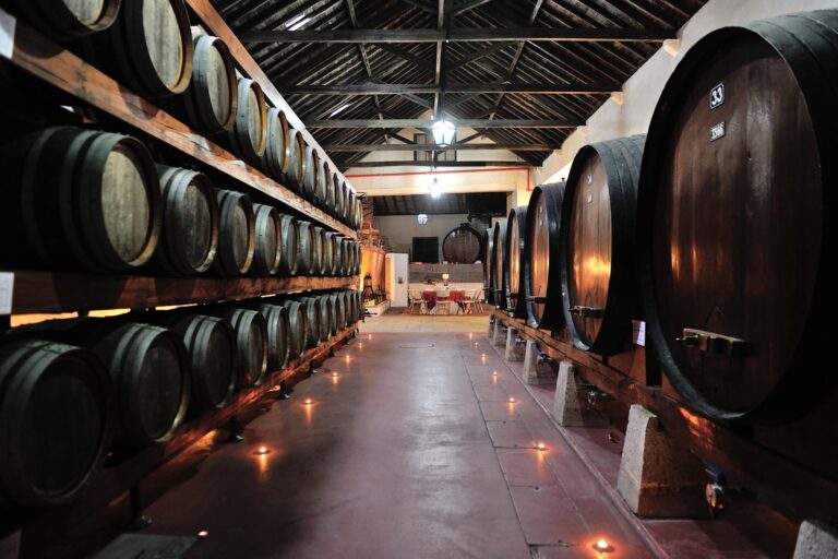 moscateis a prova - ROTA DE VINHOS PENÍNSULA DE SETÚBAL