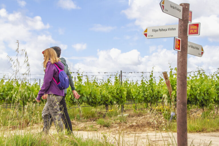 percurso pedeste jardim de vinhas - ROTA DE VINHOS PENÍNSULA DE SETÚBAL