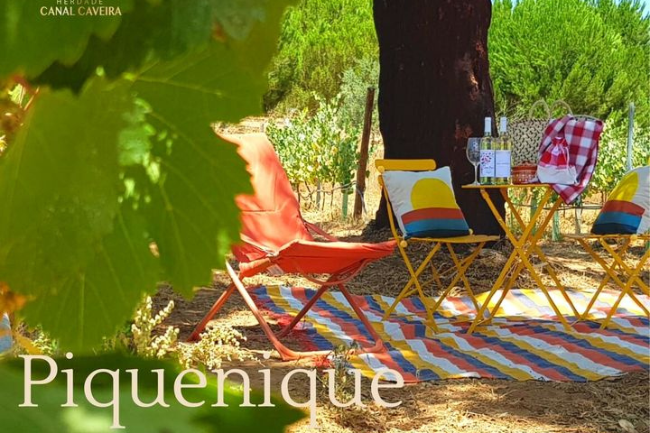 piquenique na herdade - ROTA DE VINHOS PENÍNSULA DE SETÚBAL