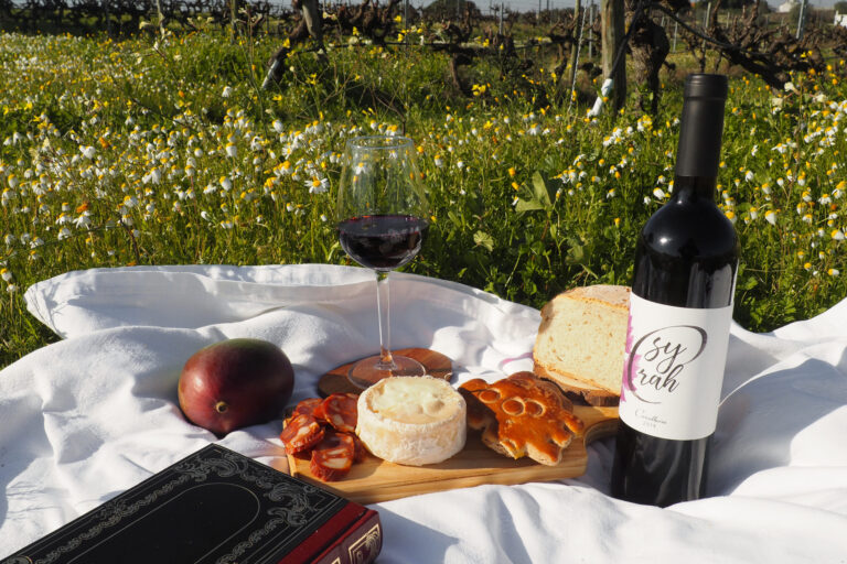 Piquenique nas Vinhas da Cascalheira