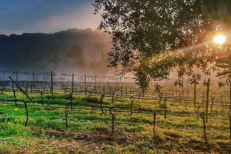 prova de vinhos na serra - ROTA DE VINHOS PENÍNSULA DE SETÚBAL