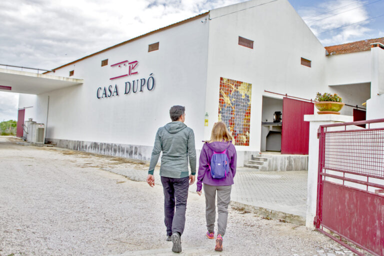 vinho pao queijo - ROTA DE VINHOS PENÍNSULA DE SETÚBAL