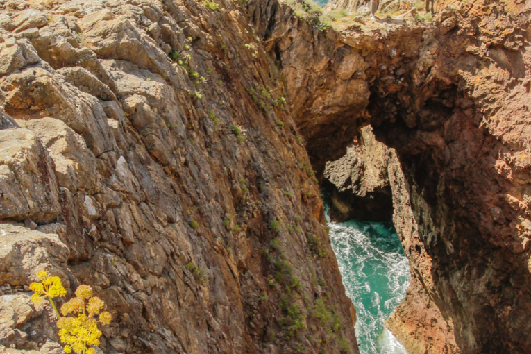 09-06-2024 Percurso Navegantes e Baleeira